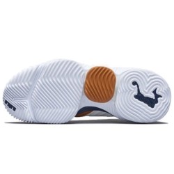 Nike LeBron 16 - Soutien Évolutif Dynamique